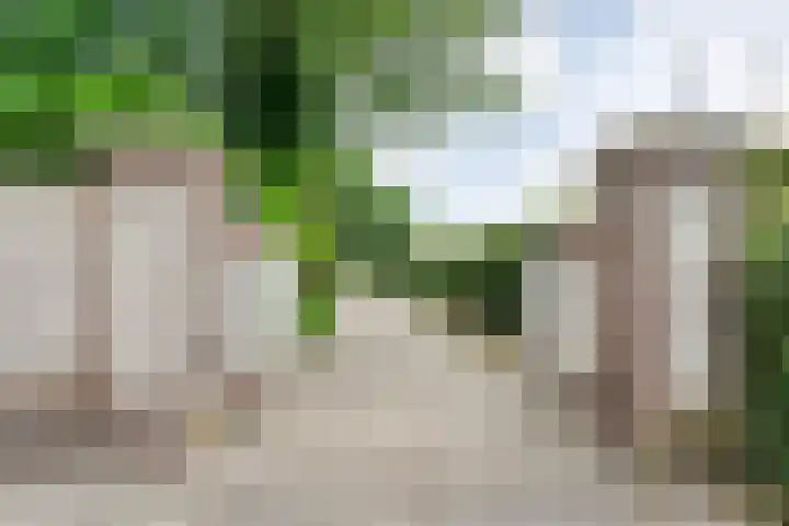 Veneweg 292 c Wanneperveen thumbnail 11