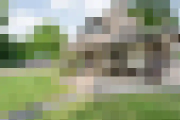 Veneweg 292 c Wanneperveen thumbnail 12