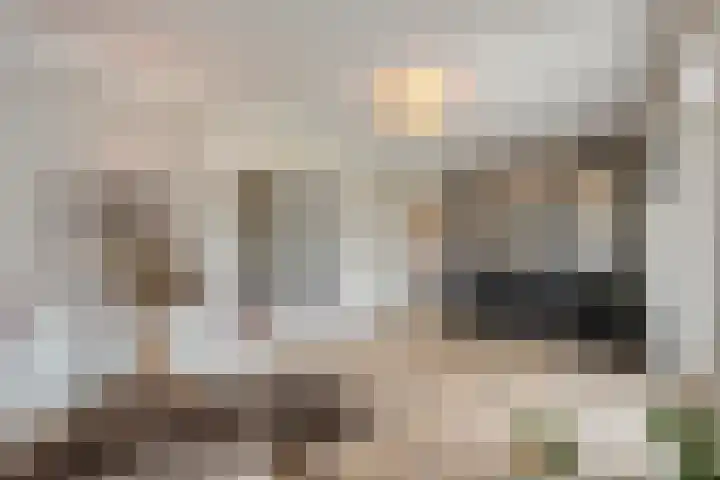 Veneweg 292 c Wanneperveen thumbnail 16