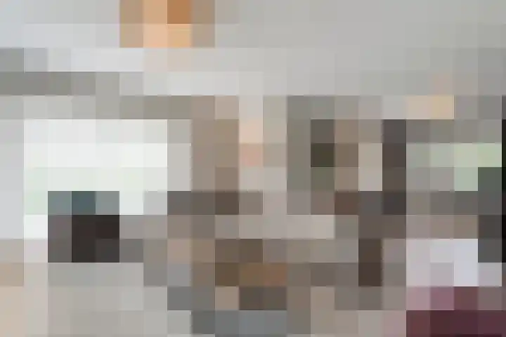 Veneweg 292 c Wanneperveen thumbnail 17