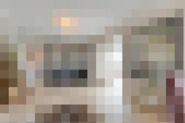 Veneweg 292 c Wanneperveen thumbnail 19