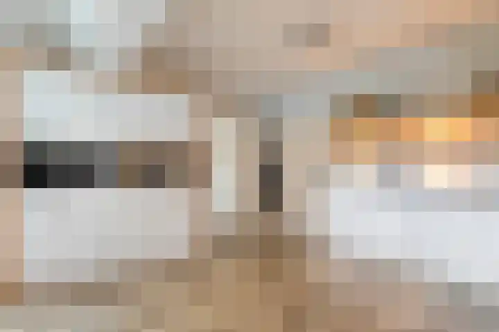 Veneweg 292 c Wanneperveen thumbnail 20