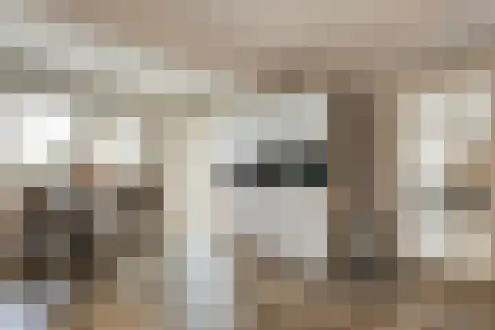 Veneweg 292 c Wanneperveen thumbnail 21