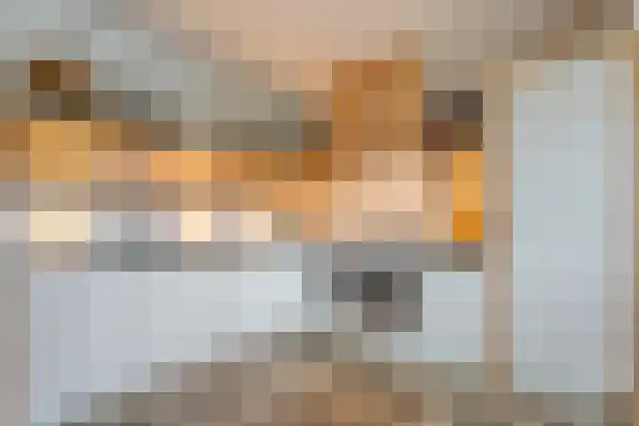 Veneweg 292 c Wanneperveen thumbnail 22