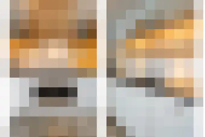 Veneweg 292 c Wanneperveen thumbnail 23