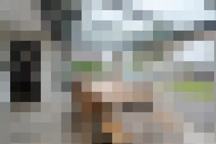 Veneweg 292 c Wanneperveen thumbnail 25