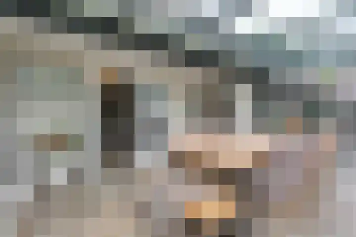 Veneweg 292 c Wanneperveen thumbnail 26