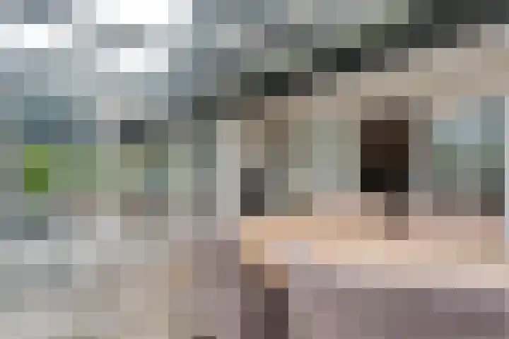 Veneweg 292 c Wanneperveen thumbnail 27