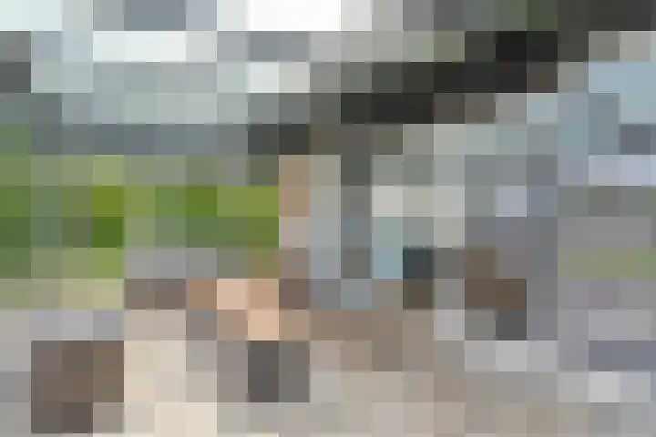 Veneweg 292 c Wanneperveen thumbnail 28
