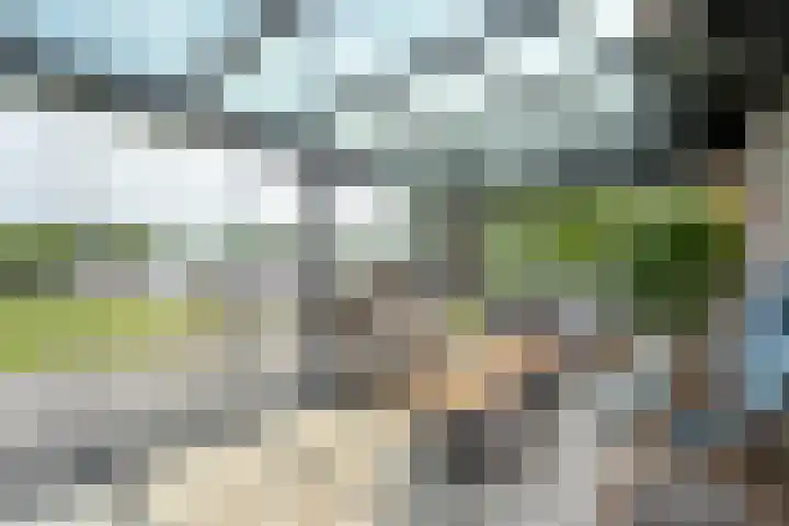 Veneweg 292 c Wanneperveen thumbnail 29