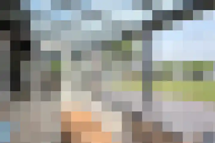 Veneweg 292 c Wanneperveen thumbnail 30