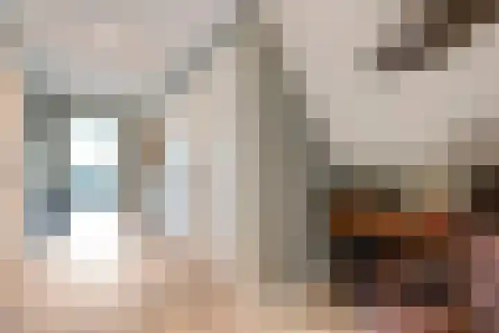 Veneweg 292 c Wanneperveen thumbnail 33