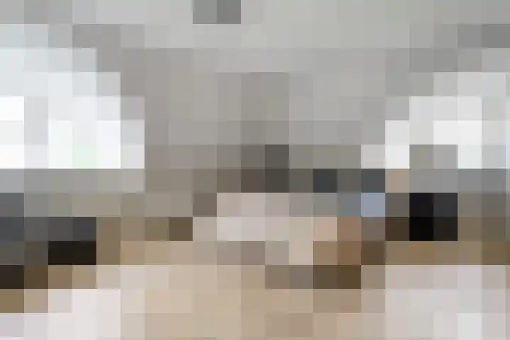 Veneweg 292 c Wanneperveen thumbnail 36