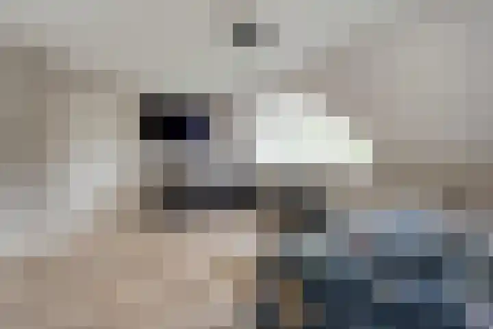 Veneweg 292 c Wanneperveen thumbnail 37