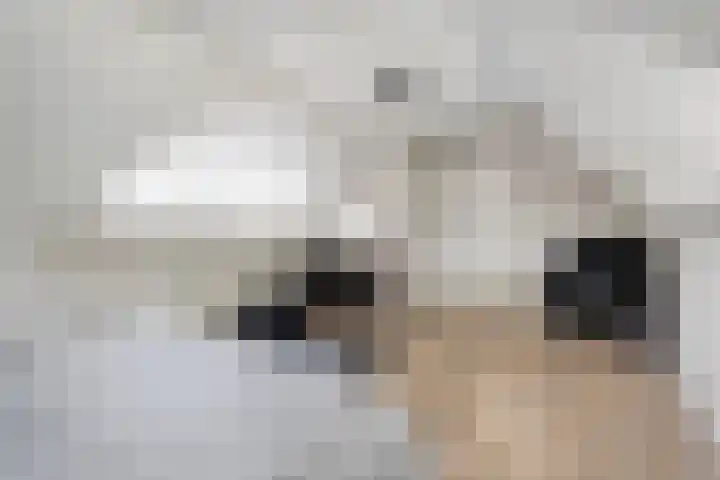Veneweg 292 c Wanneperveen thumbnail 40