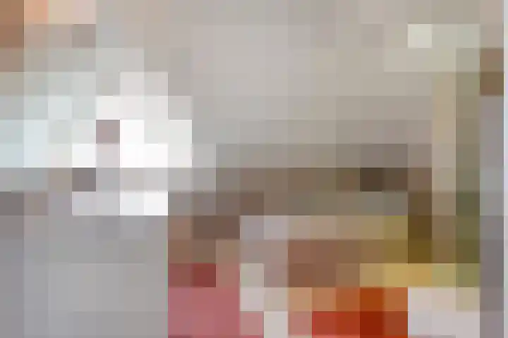 Veneweg 292 c Wanneperveen thumbnail 42