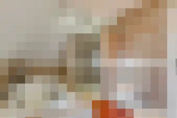 Veneweg 292 c Wanneperveen thumbnail 43