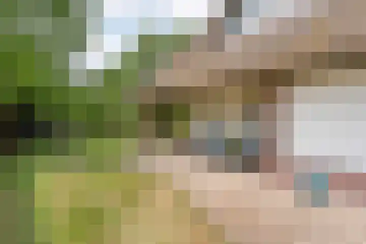 Veneweg 292 c Wanneperveen thumbnail 45