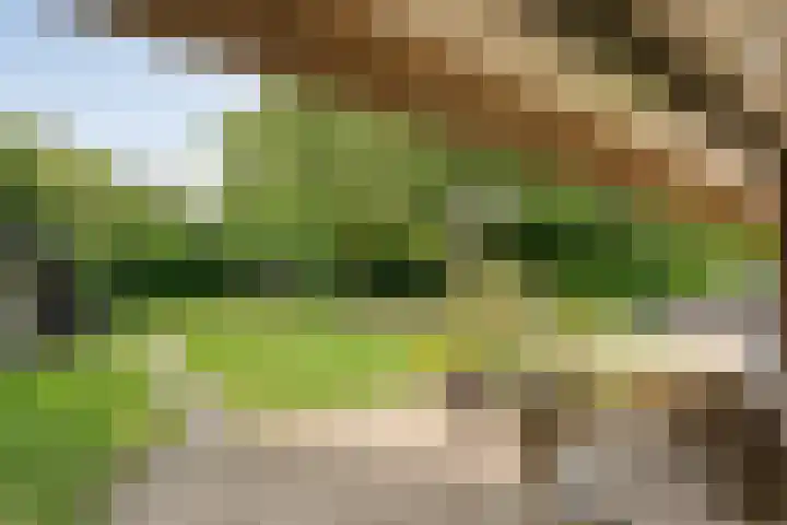 Veneweg 292 c Wanneperveen thumbnail 46