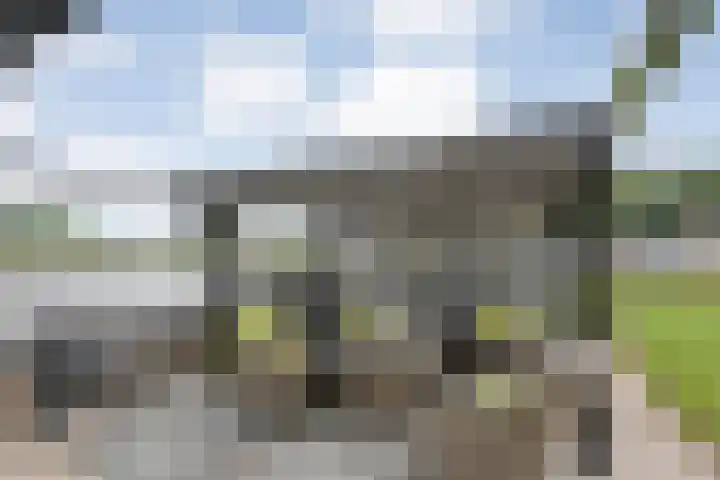 Veneweg 292 c Wanneperveen thumbnail 48