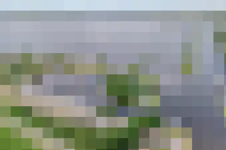Veneweg 292 c Wanneperveen thumbnail 5