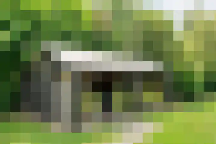 Veneweg 292 c Wanneperveen thumbnail 52