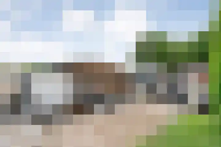 Veneweg 292 c Wanneperveen thumbnail 53
