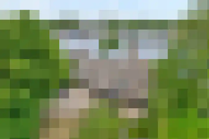 Veneweg 292 c Wanneperveen thumbnail 56