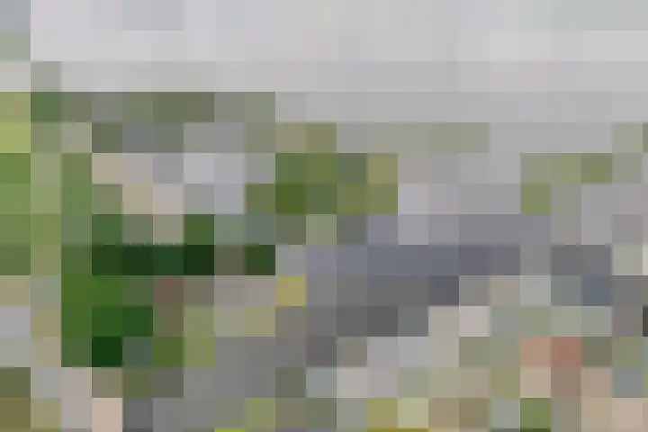 Veneweg 292 c Wanneperveen thumbnail 57