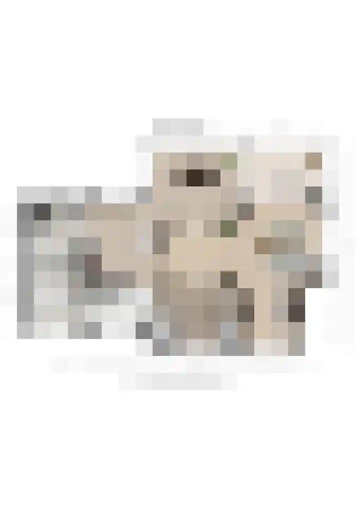 Veneweg 292 c Wanneperveen thumbnail 58