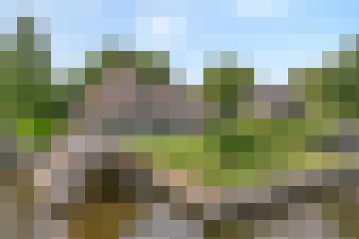 Veneweg 292 c Wanneperveen thumbnail 6