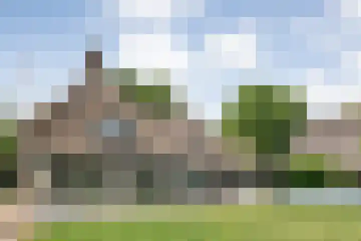 Veneweg 292 c Wanneperveen thumbnail 7
