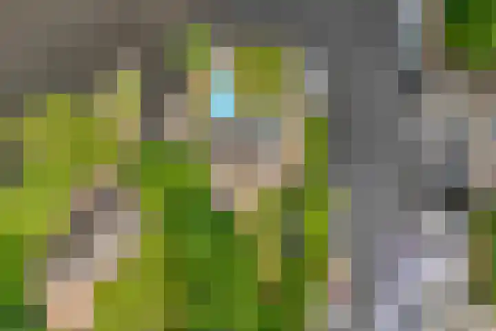 Veneweg 292 c Wanneperveen thumbnail 8