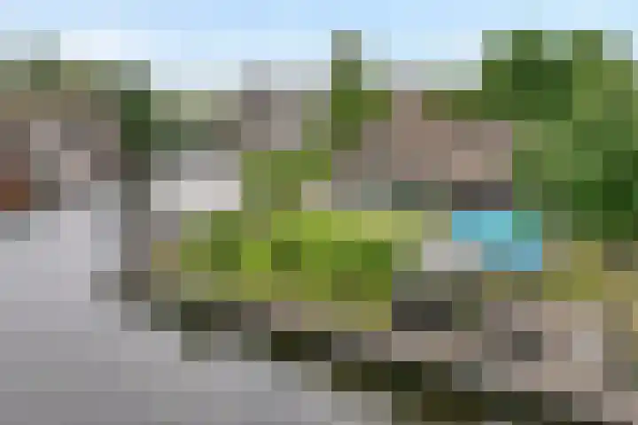 Veneweg 292 c Wanneperveen thumbnail 9