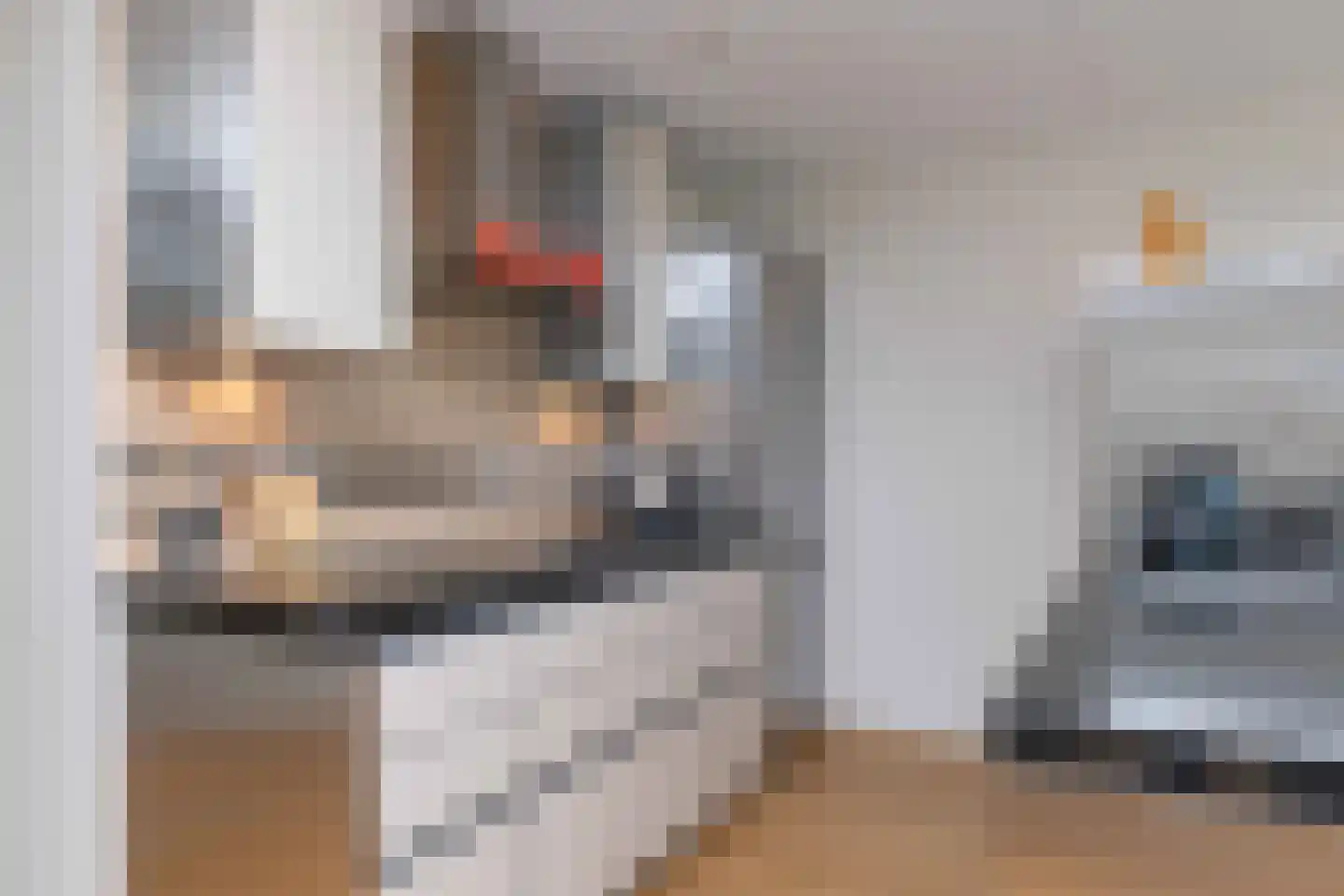 Veneweg 294 05 Wanneperveen thumbnail 28