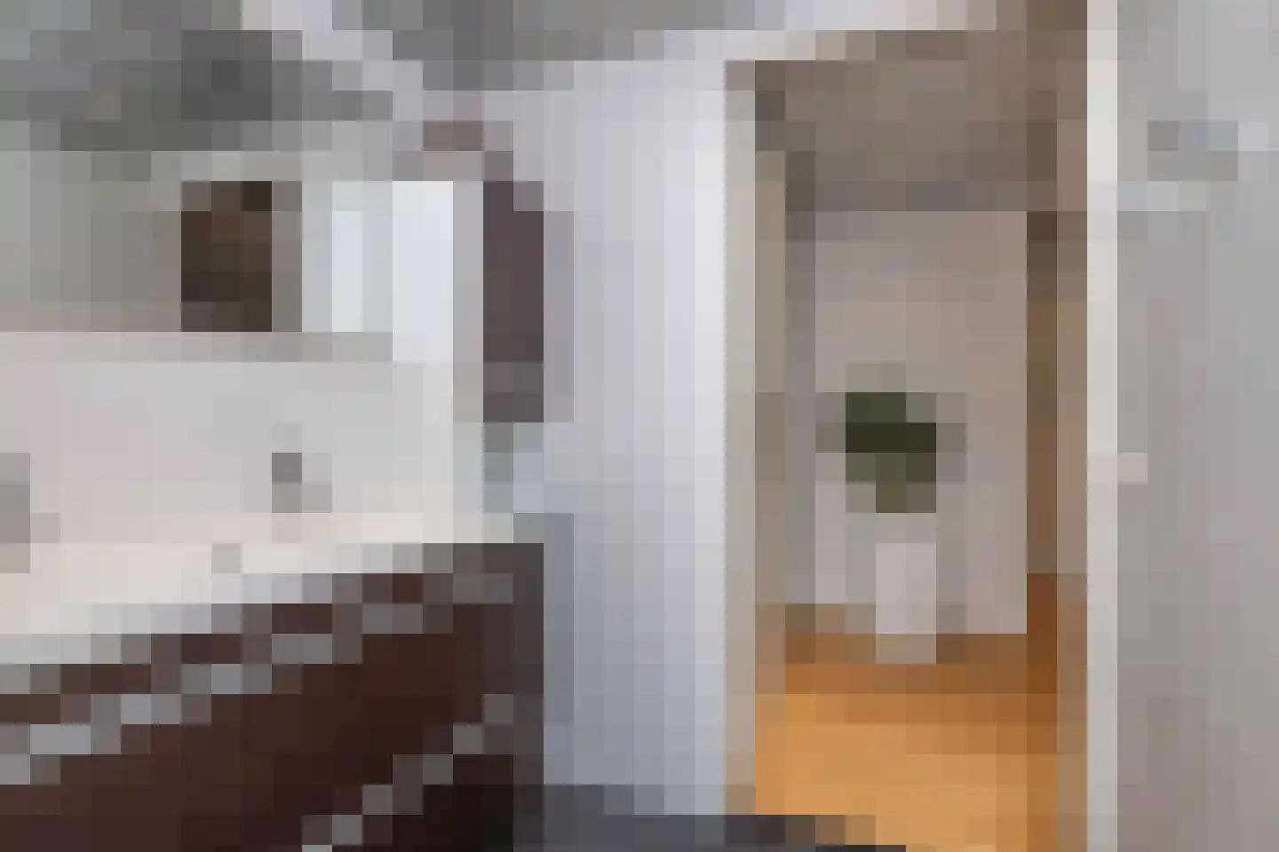 Veneweg 294 05 Wanneperveen thumbnail 38