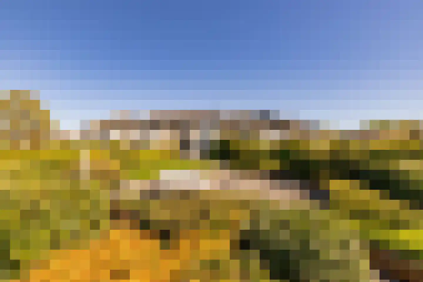 Veneweg 294 05 Wanneperveen thumbnail 42