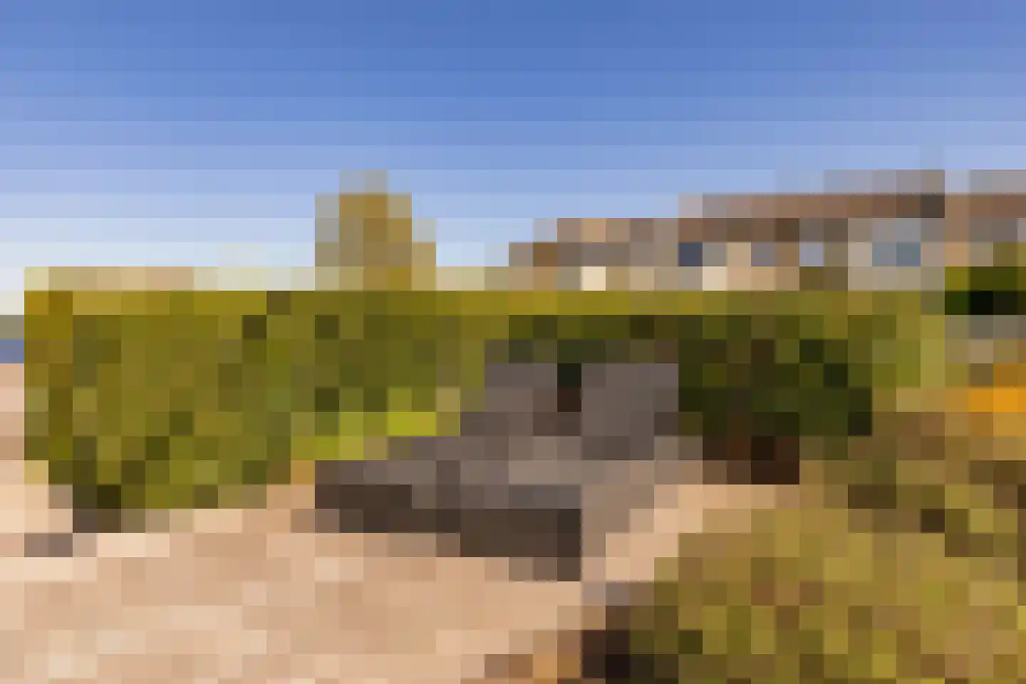 Veneweg 294 05 Wanneperveen thumbnail 45