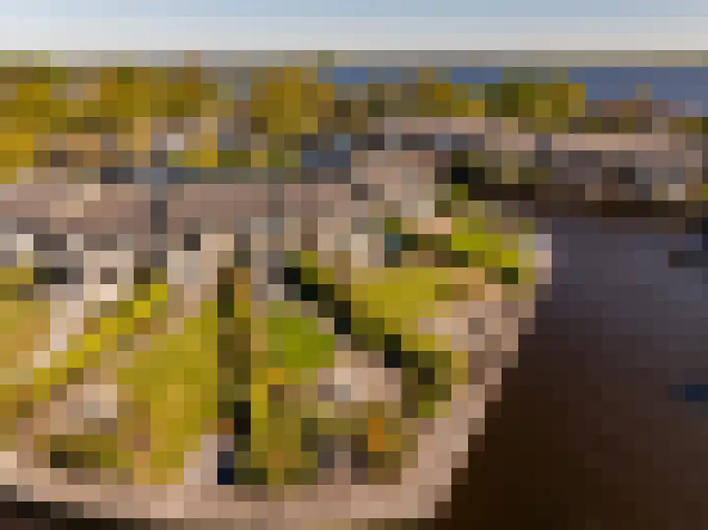 Veneweg 294 05 Wanneperveen thumbnail 47