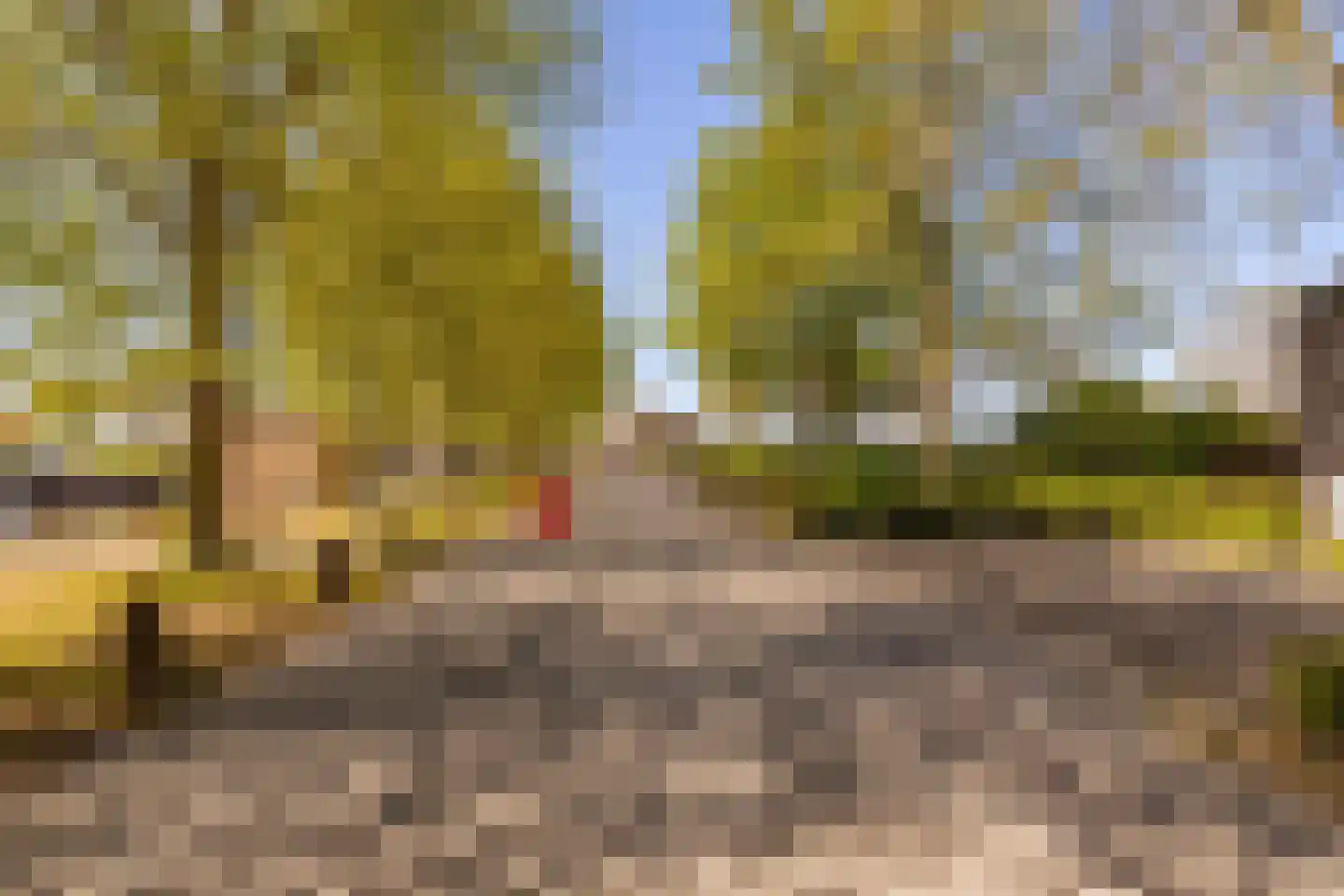 Veneweg 294 05 Wanneperveen thumbnail 55