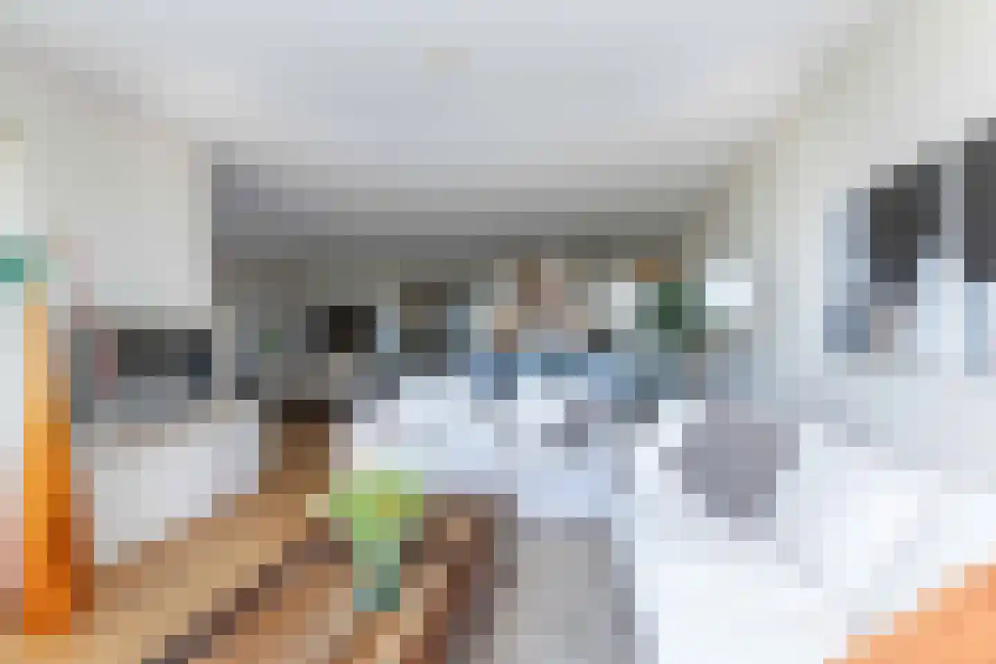 Veneweg 294 05 Wanneperveen thumbnail 8