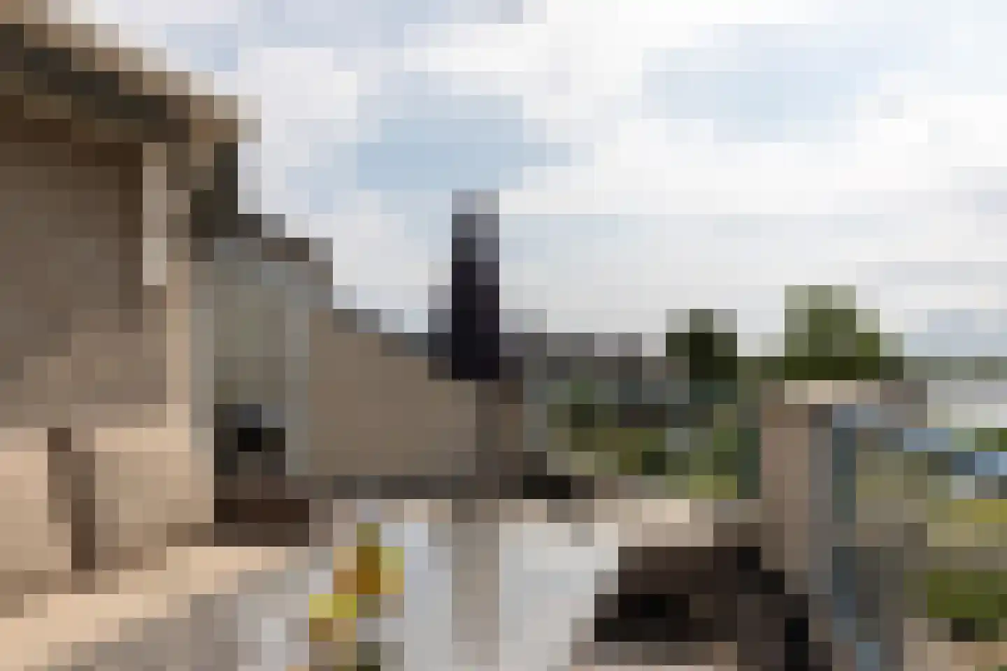 Veneweg 294 14 Wanneperveen thumbnail 34