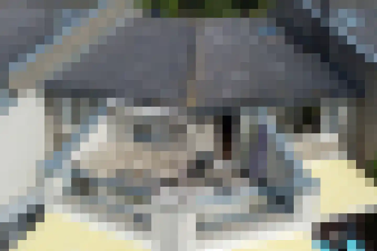 Veneweg 294 14 Wanneperveen thumbnail 4