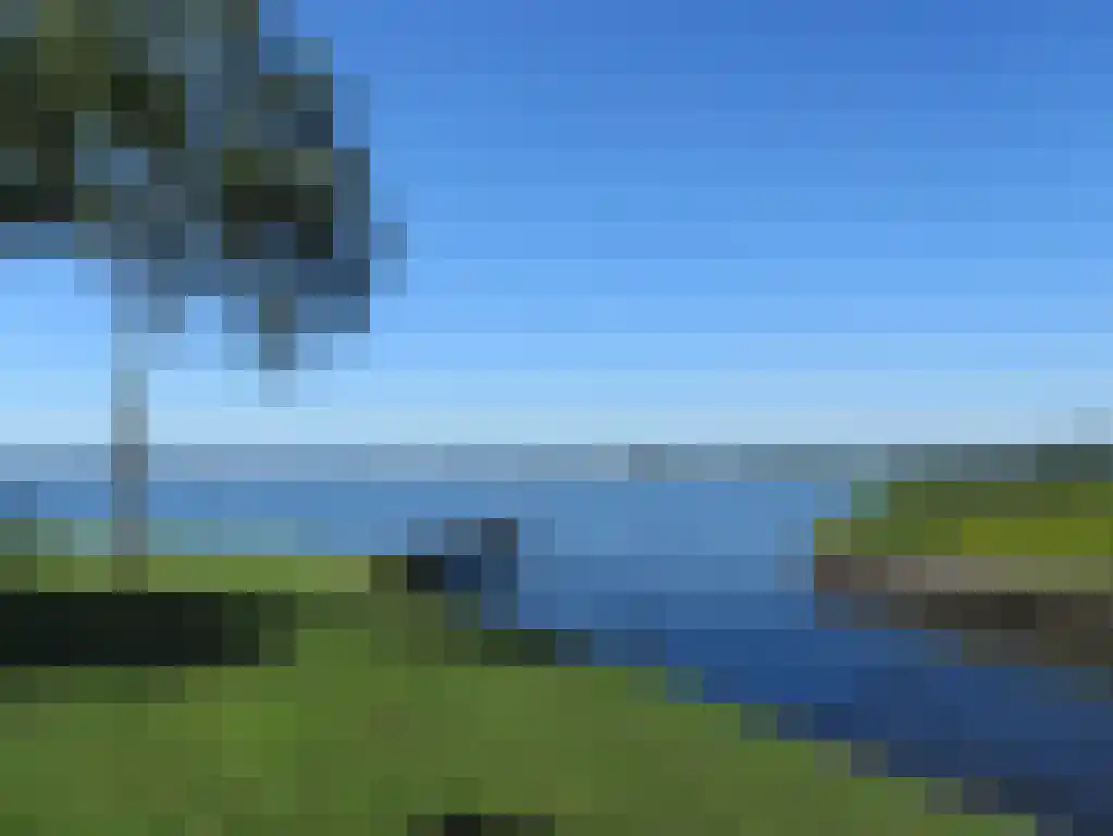 Veneweg 294 14 Wanneperveen thumbnail 45