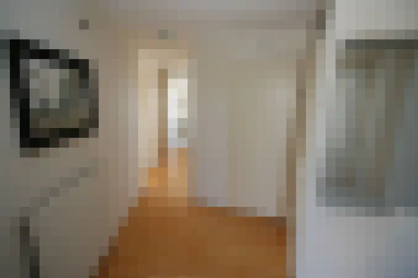 Veneweg 294 14 Wanneperveen thumbnail 9