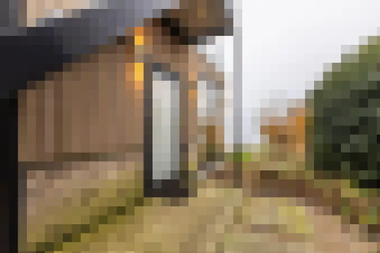 Veneweg 306 R 156 Wanneperveen thumbnail 6