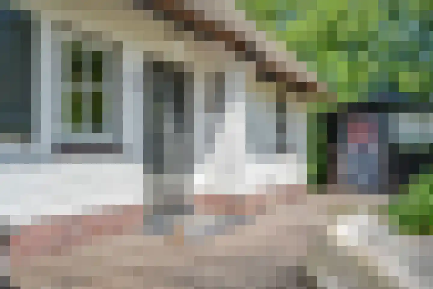 Veneweg 328 Wanneperveen thumbnail 11
