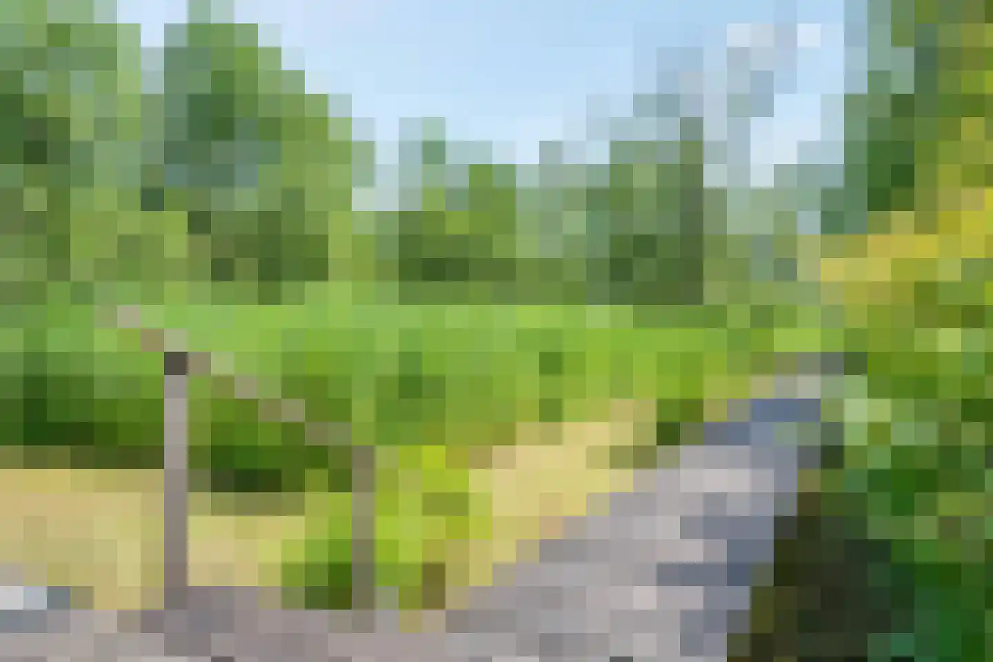 Veneweg 328 Wanneperveen thumbnail 14