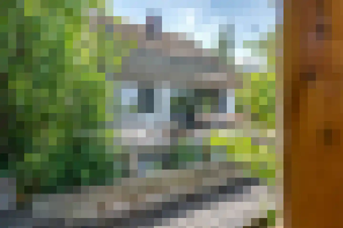 Veneweg 328 Wanneperveen thumbnail 28