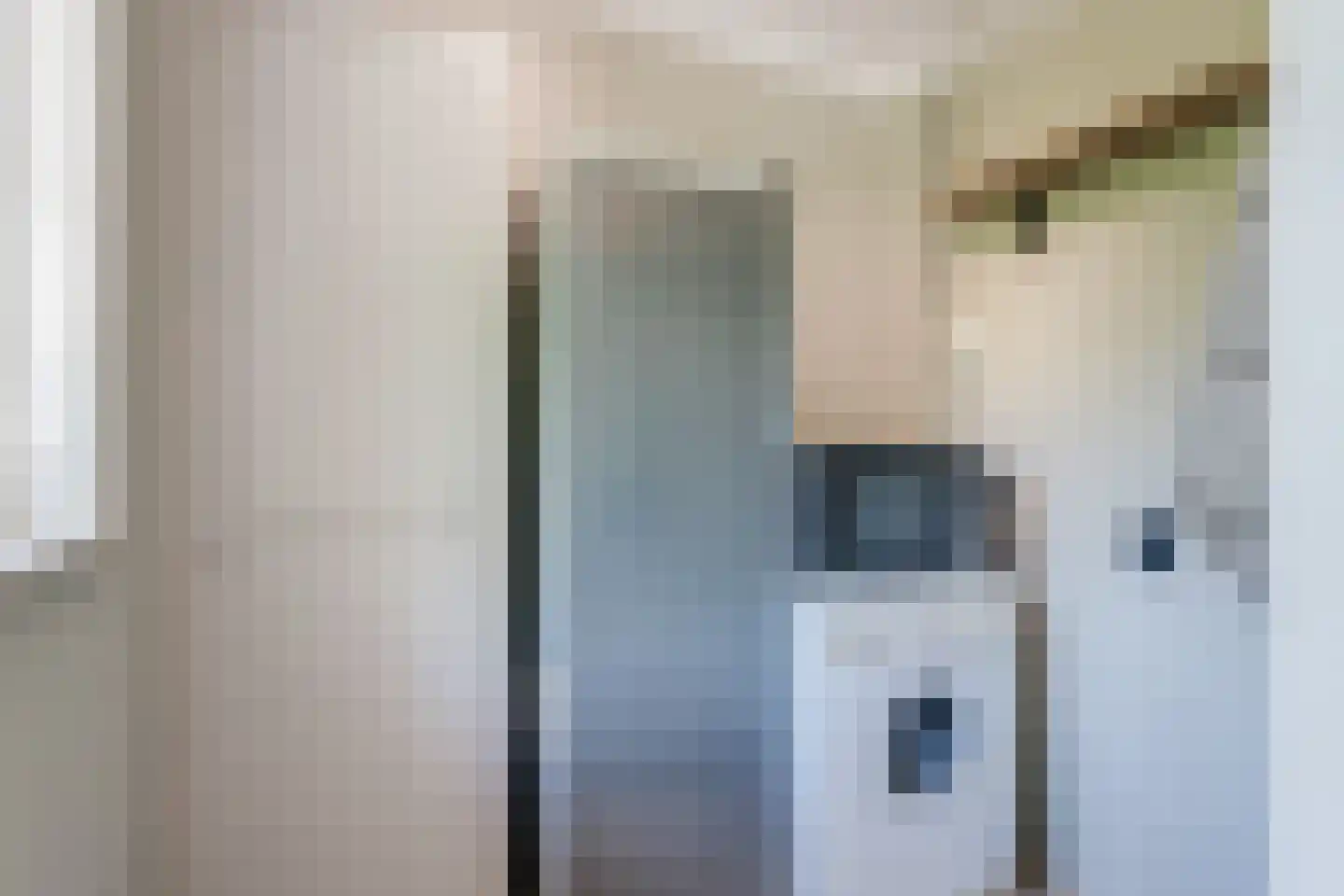 Veneweg 328 Wanneperveen thumbnail 43